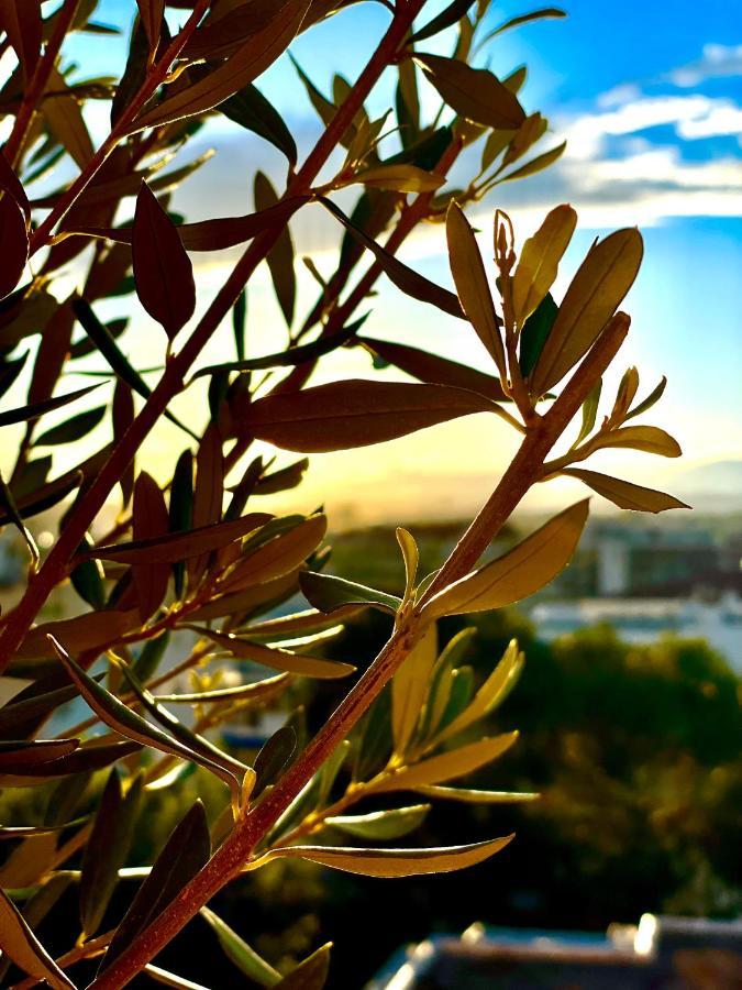 Rooftop Apartement - Quartier Croisette - Esc'Appart Cannes Exterior photo